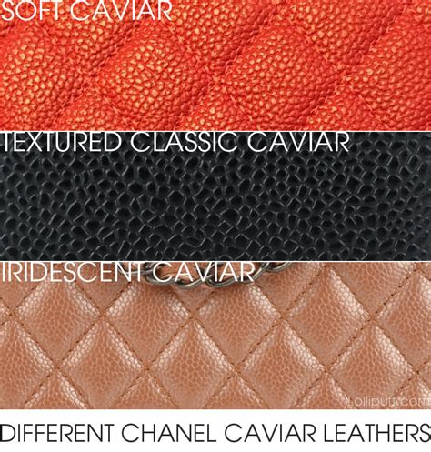 caviar leather vs calfskin.